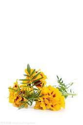 教师格言个性签名