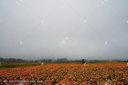 找个性签名写心情不好
