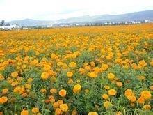 【精选】让对方看了心疼内疚的说说推荐100句