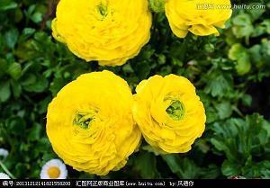 男生孤独的个性签名 就算前路不坦荡，我也要做自己的太阳