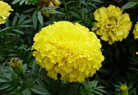 消防宣传日宣传语 关于消防宣传日的句子(精选78句)