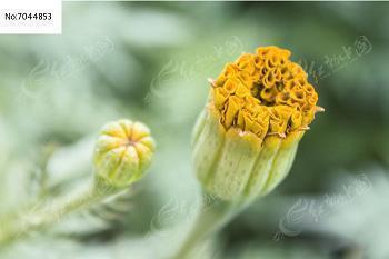 愚人节表白文案情话
