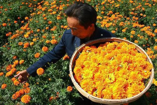 腊八节感言心情语录63句