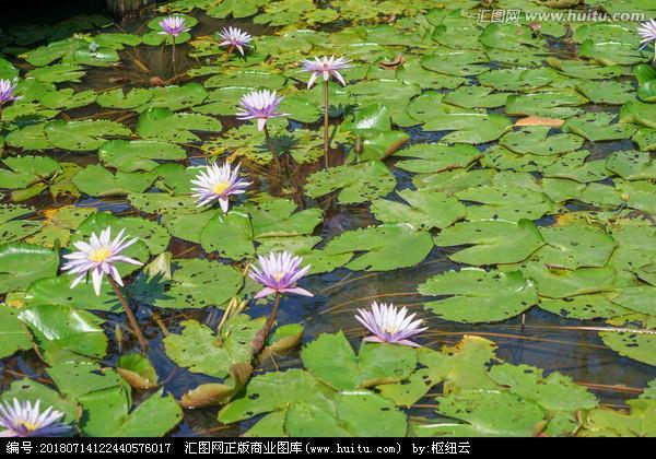 嫌好道恶
