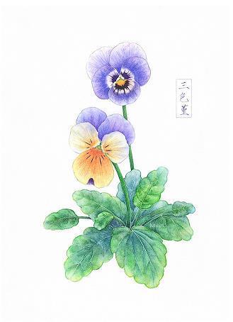 青春两敌