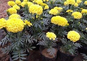 霸气的微商个性签名48句