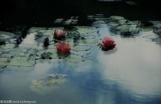 把持不定