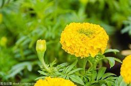 很潮又短的生日祝福文案大全(精选69句)