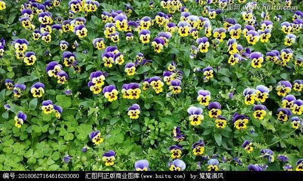 美奂美轮