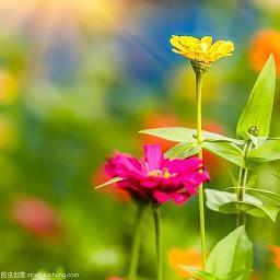 00后专属伤感说说大全 适合中小学生发的伤感说说