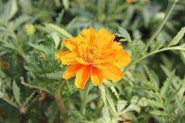 孩子生病一个人无助的忧伤句子 生病无助的说说(精选37句)