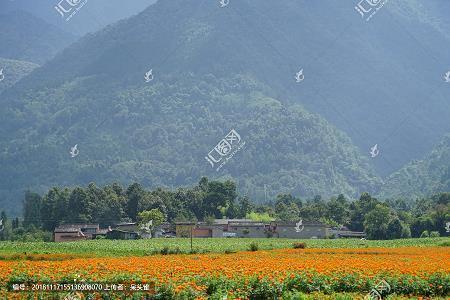 描写人物的好句子大全 描写人物的好句子摘抄(精选74句)