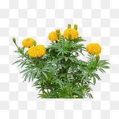 有关温暖与爱的句子