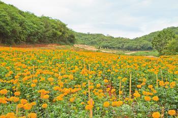 用泄露造句大全 泄露的意思