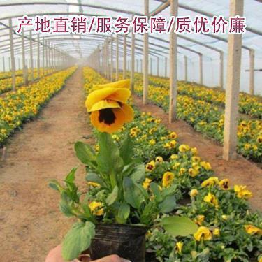 心情不好的短句发朋友圈 心情不好的句子发朋友圈