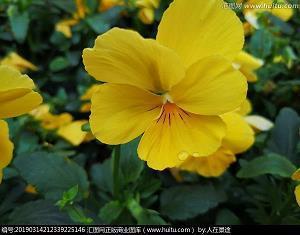 清新凉爽的夏季女生qq签名大全 我承认现在还是会在意你