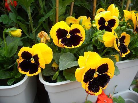 6月朋友圈说说文艺范 五月再见六月你好的心情说说