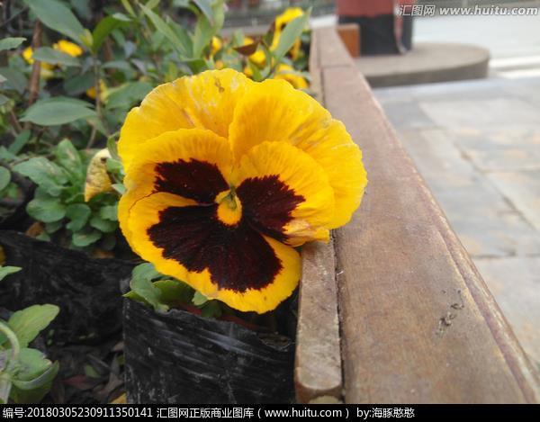 黄金时代