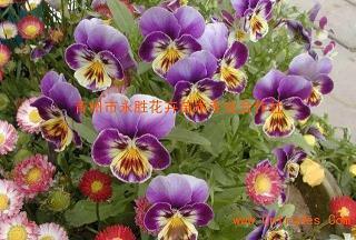 生理期适合发朋友圈的句子(精选33句)