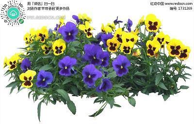 揣时度力