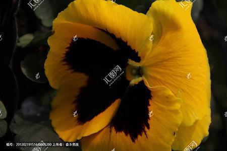 道同义合