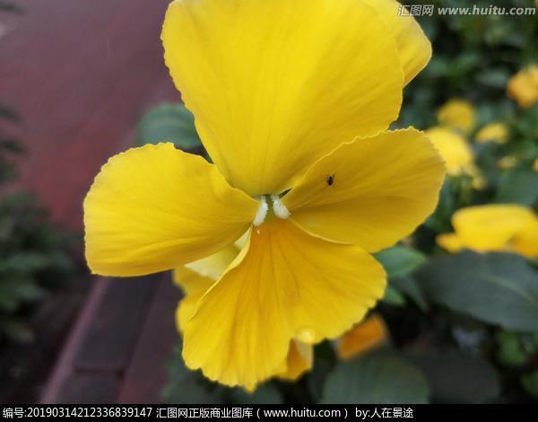 词不逮意