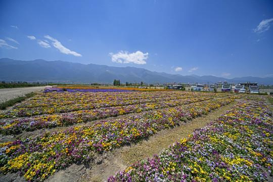 动手动脚