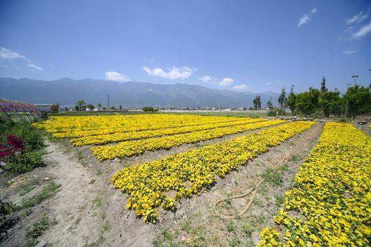 繁刑重敛