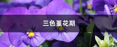 最真心的祝福语 关于一句美好的祝福语(精选49句)