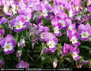 特别在乎一个人的朋友圈句子(精选43句)