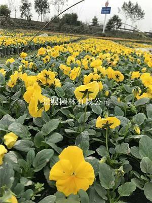 让人感动的表白个性签名