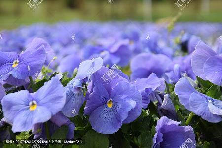 每日清晨早安心语集合28句