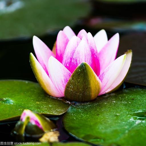 趁风使柁