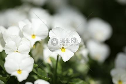 抔土巨壑