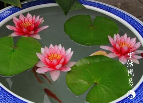 小巫见大巫