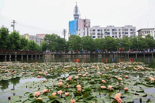 囊箧萧条