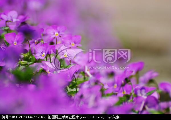 电子签名 手机上怎么进行电子签名
