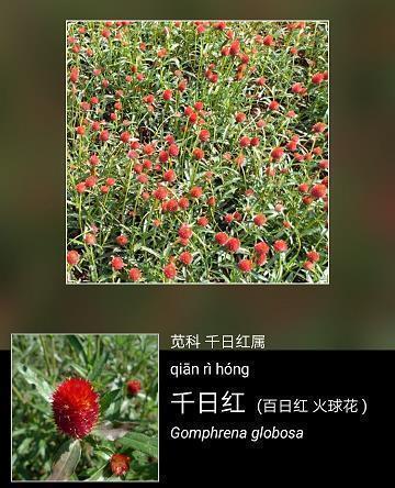 qq个性心酸的说说句子41句