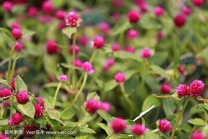 超拽签名女生比较短的最新 独一无二的新版御姐范超拽签名