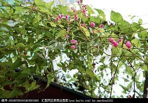 关于期中考试的说说