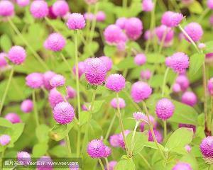 关于中秋节说说24句