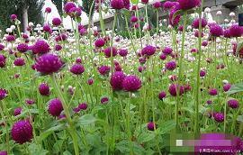 【精品】中秋节朋友圈个性说说最唯美汇编91句