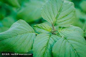 最新适合雨季的伤感说说 最美的不是下雨天而是与你躲过的屋檐