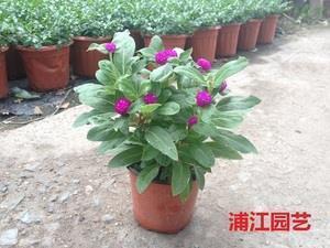 关于离别的心情说说_和朋友离别时发的文艺伤感句子大全