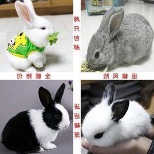 面红耳热
