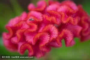 简短精辟的微信个性签名成熟内涵