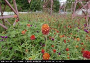 一个人心累了的伤感说说短句子49句