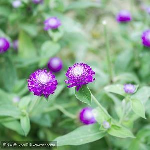 520表白情话句子精选59句