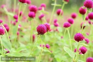 微信说说说到心坎短句伤感 那些说到心坎的伤感句子
