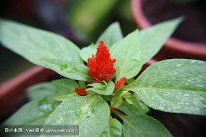 如何表达对领导的感谢 感谢领导的话简短精辟汇总88句